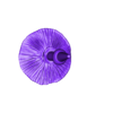 Mushroom_cut.stl STL-Datei Pflanzenetikett "Silvaticus Fungus"・Design für den 3D-Druck zum Herunterladen