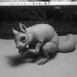 Artboard-1.png Ball Jointed Squirrel