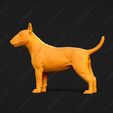 2866-Bull_Terrier_Miniature_Pose_02.jpg Bull Terrier Miniature Dog 3D Print Model Pose 02