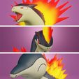 cyndaquil-evolution.jpg pokemon cyndaquil evolution pack