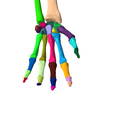 13.png SKELETON OF  LEFT UPPER  LIMB 32 PARTS