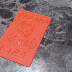 20220619_184618.jpg STL file THE TRUMP CARD・3D printable design to download