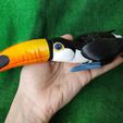 IMG_20240127_153633789_MP.jpg Toucan  Articulated Figure