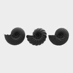 untitled.234.jpg STL file Nautilus Shell- Bundle pack・Model to download and 3D print