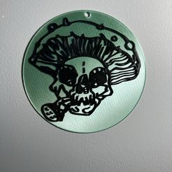 IMG_5778.jpeg Catskull 2