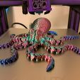 Octopus 2.0