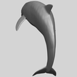 27_TDA0613_Dolphin_03A03.png Dolphin 03