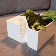 20181112_120444.jpg Flower pot cube staircase