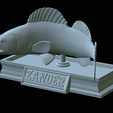 zander-statue-4-mouth-open-42.png fish zander / pikeperch / Sander lucioperca open mouth statue detailed texture for 3d printing