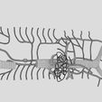 file-6.jpg Venous system thorax abdominal vein labelled 3D model