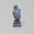3468.jpg Eternal Beat: Hyper-Realistic Anatomical Human Heart