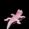 Gecko7.jpg Osga