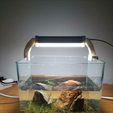 IMG20230327184410_BURST000_COVER.jpg lampara para acuario pequeño