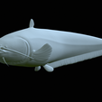 Catfish-Europe-5.png FISH WELS CATFISH / SILURUS GLANIS solo model detailed texture for 3d printing