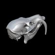 bandicam-2026-02-08-13-51-30-880.jpg CHINESE WATER DEER SKULL