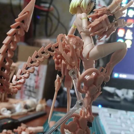 QQ图片20240219111211.jpg Mechanisches Heck