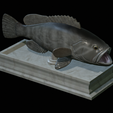 White-grouper-open-mouth-statue-35.png fish white grouper / Epinephelus aeneus open mouth statue detailed texture for 3d printing