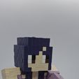 20250815_161811.jpg Minecraft Aphmau play figure