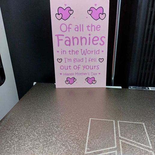 Funny Mother’s Day Sign – “Of All the Fannies” ( with commercial license)