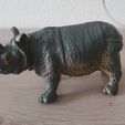 rhinocéros-1.jpg Rhinoceros 🦏
