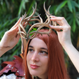 WIREFRAME_1200_1200_14.png Regal Antler Crown 3D Print Model for Cosplay & Home Decoration