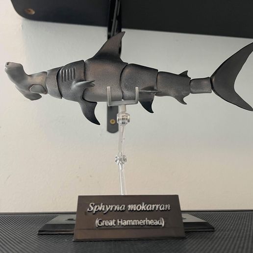 🦈 Great Hammerhead Shark 1/18 articulated figure・ 3D File for 3D