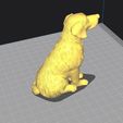Labrador3.jpg Labrador Realistic
