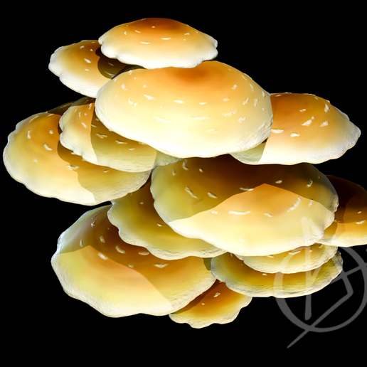 Mushroom Cluster Wall Mounted