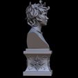 untitled.946.jpg Medusa