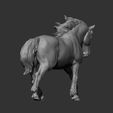 Percheron-running12.jpg Percheron läuft 3D-Druckmodell