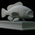 White-grouper-open-mouth-statue-45.png fish white grouper / Epinephelus aeneus open mouth statue detailed texture for 3d printing