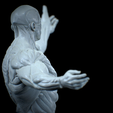 Untitled_Viewport_003.png Anatomia Humana Musculacion - Muscle Anatomy human adapted Print