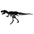 Näyttökuva-2021-07-31-182147.jpg Skeleton dinosaur wall decor
