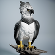 Harrpy-1.png Harpy Eagle