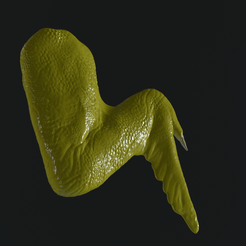 BD5527F0-6C96-486C-9109-9E2FB06D2B63.png Archivo STL Alita de pollo・Objeto imprimible en 3D para descargar