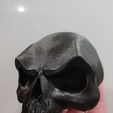 337ab9108ee9302146d4784ec887dfc9_display_large.jpg Free STL file SKULL - VAMP・Object to download and to 3D print, Bugman_140