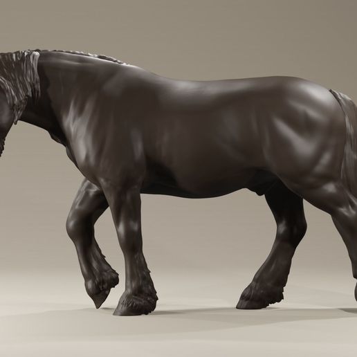realistic-walking-frisian-horse-for-printing-farmanimal-3d-model-e22e085659-2.jpg 高头大马弗里斯兰矮种马农场动物宠物马