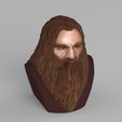 gimli-lord-of-the-rings-bust-full-color-3d-printing-ready-3d-model-obj-stl-wrl-wrz-mtl (4).jpg Gimli Lord of the Rings bust full color 3D printing ready