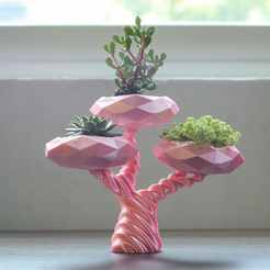 TinyBonsai.png Archivo STL gratis Planter Tiny Bonsai・Modelo para descargar y imprimir en 3D