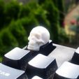 keycap scull 3d printing.jpg Skull Keycap STL for Cherry MX 3D print model