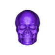 skull_low.stl Male Skull