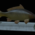 carp-statue-10.png fish carp / Cyprinus carpio statue detailed texture for 3d printing