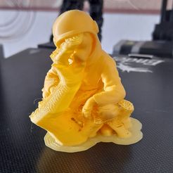 Taitaiwoo-Dog cosmonaut, astronaut observer.