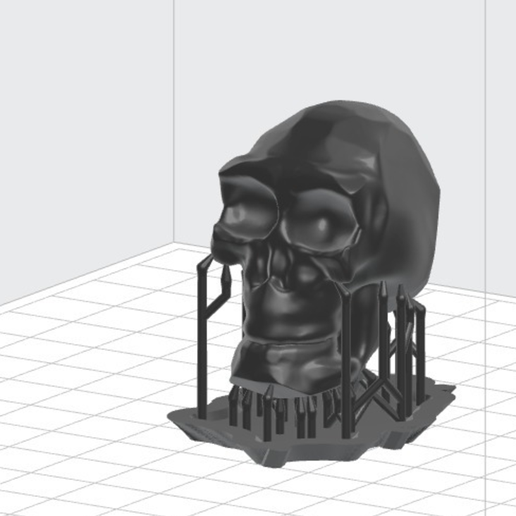 Skeleton 3D model preview