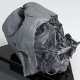 melted-darth-vader-helmet-star-wars-skull-3d-print-model-3d-model-obj-mtl-stl (7).jpg Melted Darth Vader Helmet - Star Wars Skull 3D Print model
