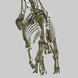 04.jpg Brachiosaurus: Complete 3D anatomy