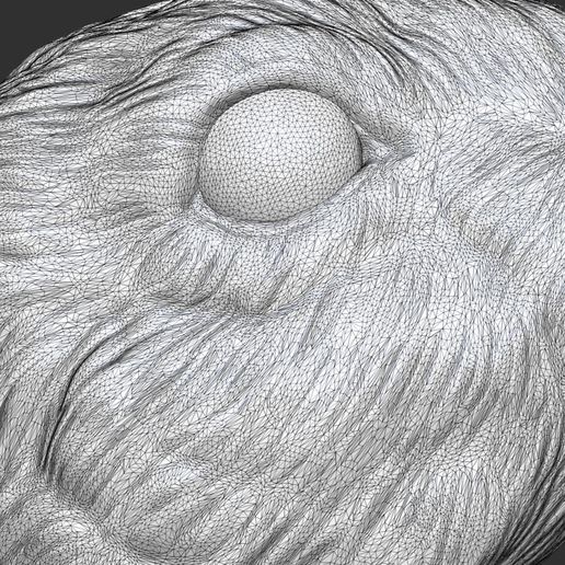 50.jpg Hare looks up