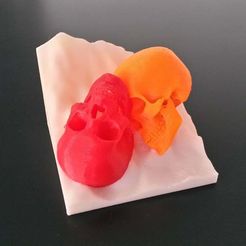 20170929_094035_LLS_cropped.jpg Free STL file Cheerful Skulls (multimaterial)・3D printable design to download