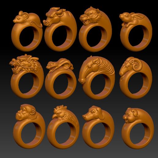 ZODIAC RING PENDANT 3D model