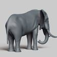 R05.jpg african elephant pose 02